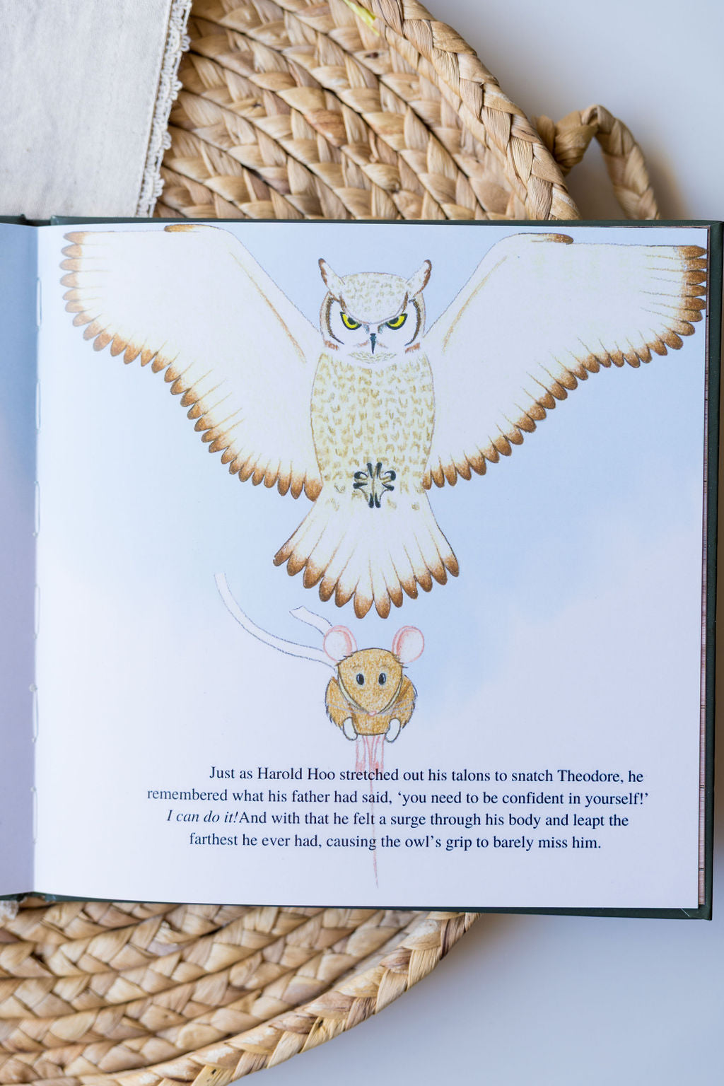 The Adventure of Theodore James and the Great Horned Owl