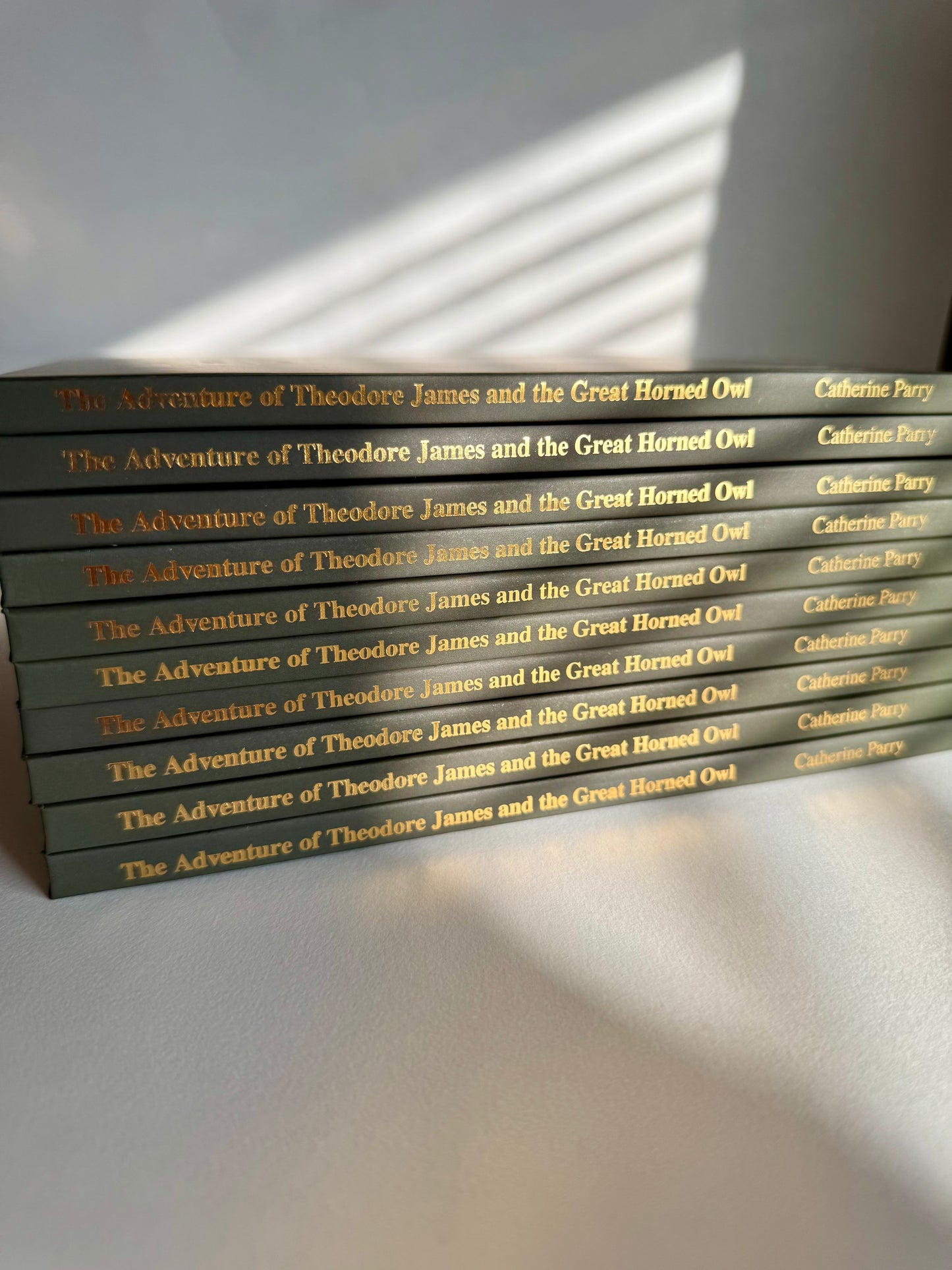 Defective Books-The Adventure Of Theodore James