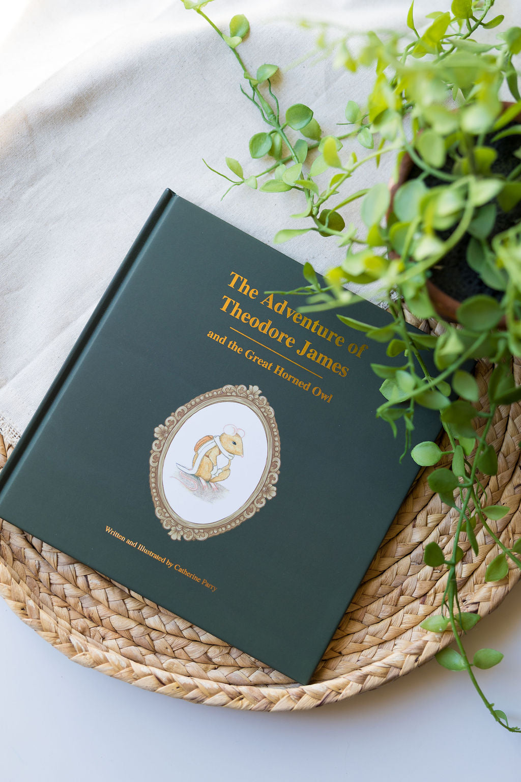 The Adventure of Theodore James and the Great Horned Owl