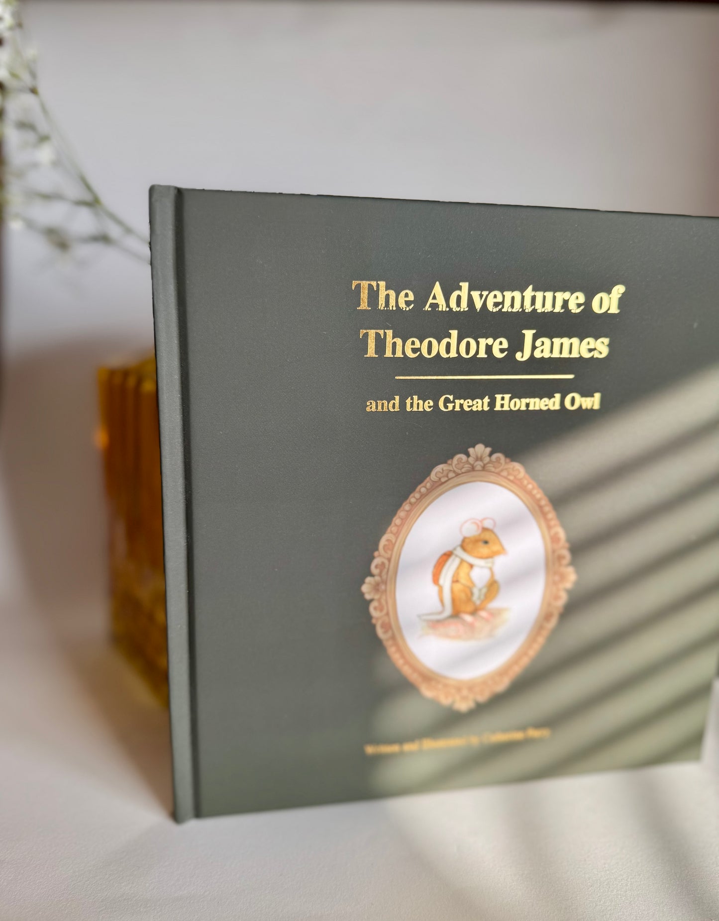 Defective Books-The Adventure Of Theodore James