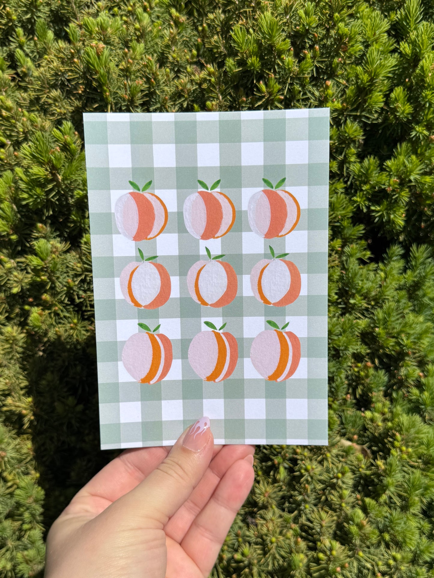 "Sweet Peaches" Art Print/Greeting Card