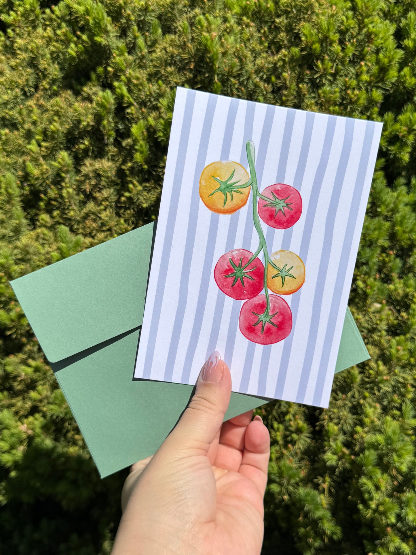 "Summer Tomatoes" Art Print/Greeting Card