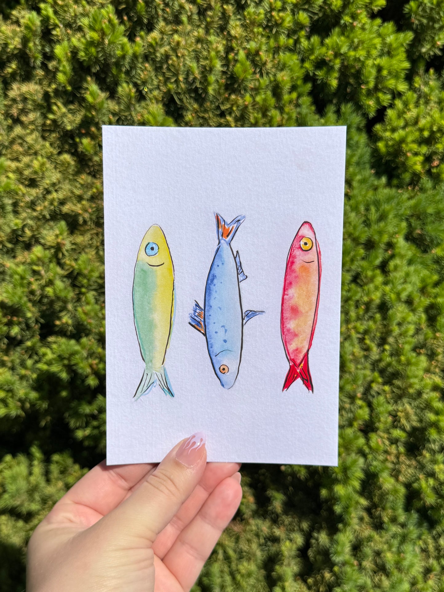 "Sardine Trio" Art Print/Greeting Card