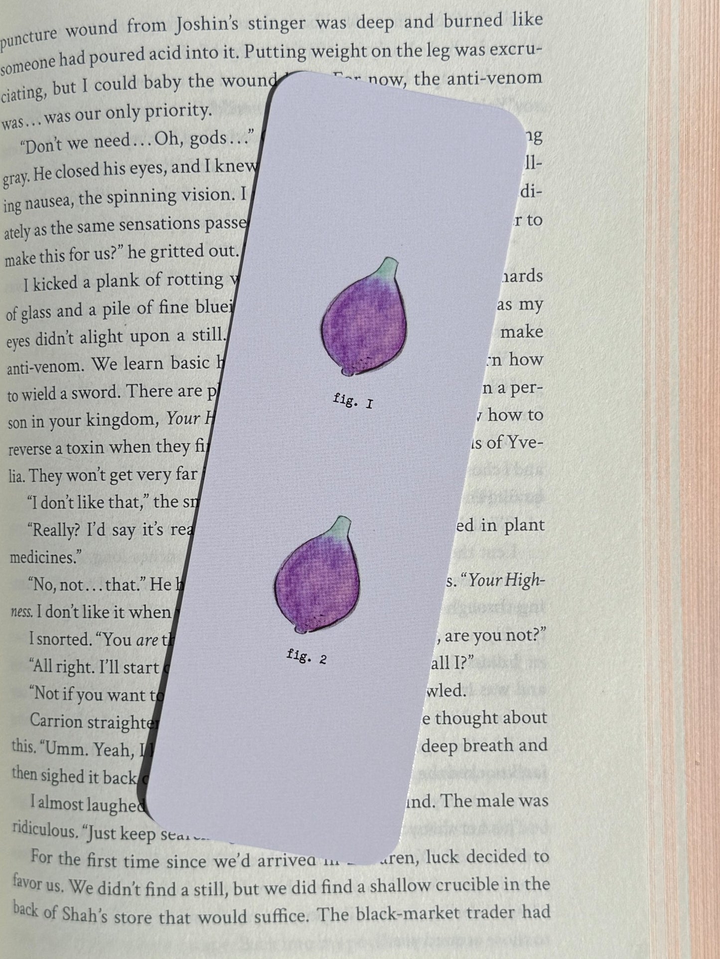 Figs Paper Bookmark